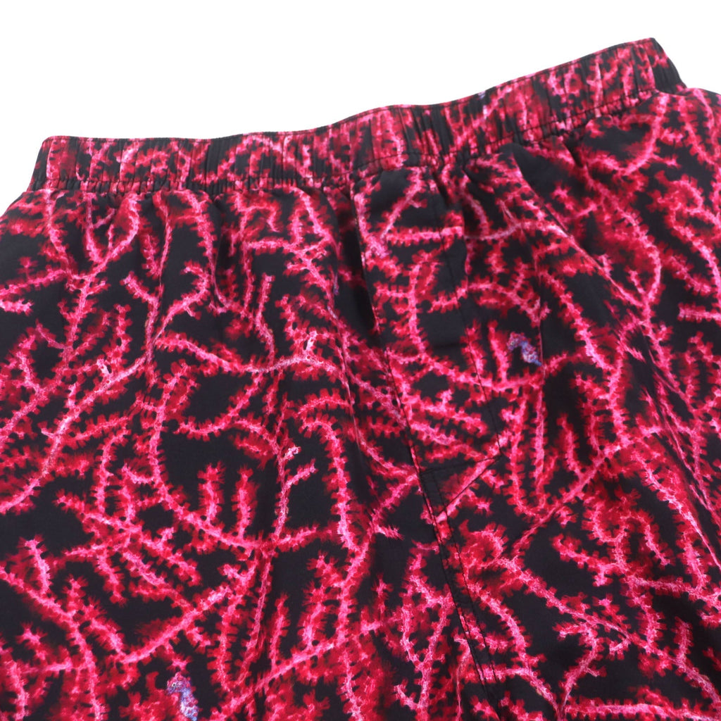 Dior Silk Shorts