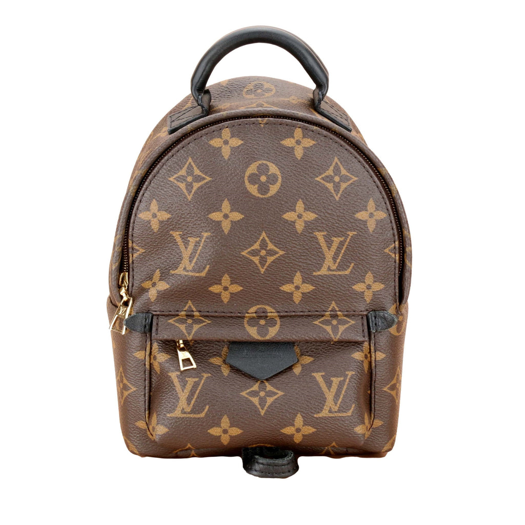 Louis Vuitton Palm Springs Mini Backpack