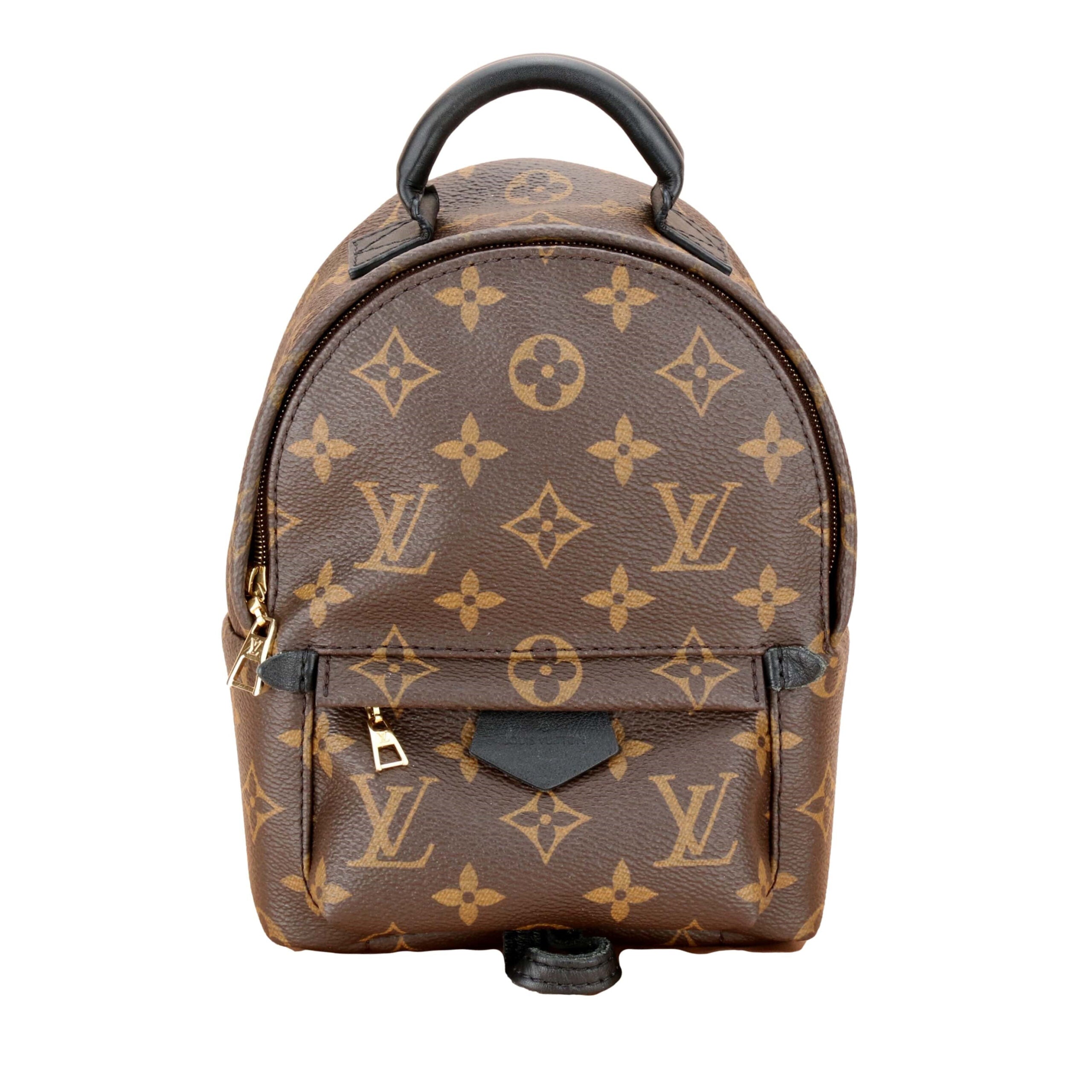 Louis Vuitton Palm Springs Mini Backpack