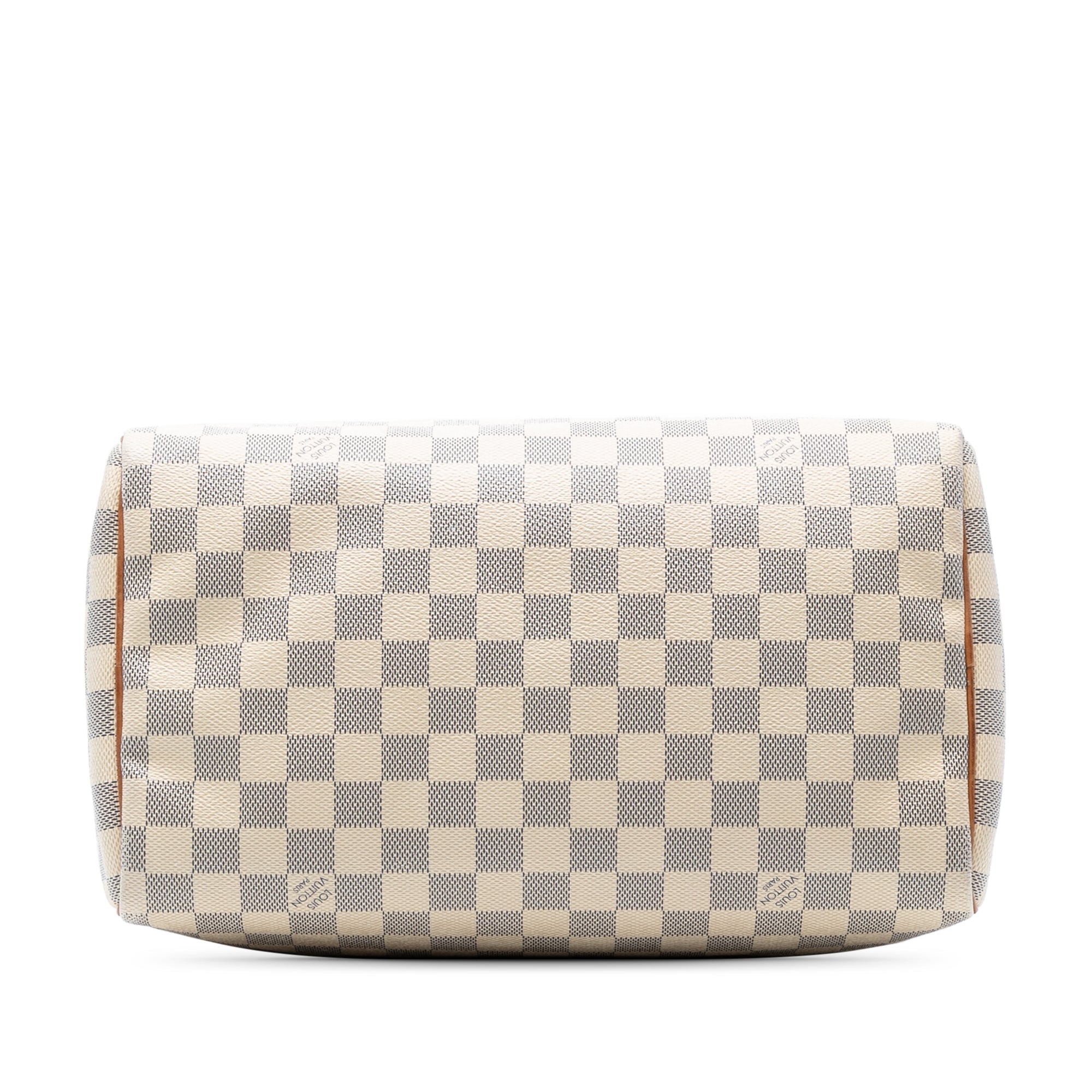Speedy Handbag Damier 30