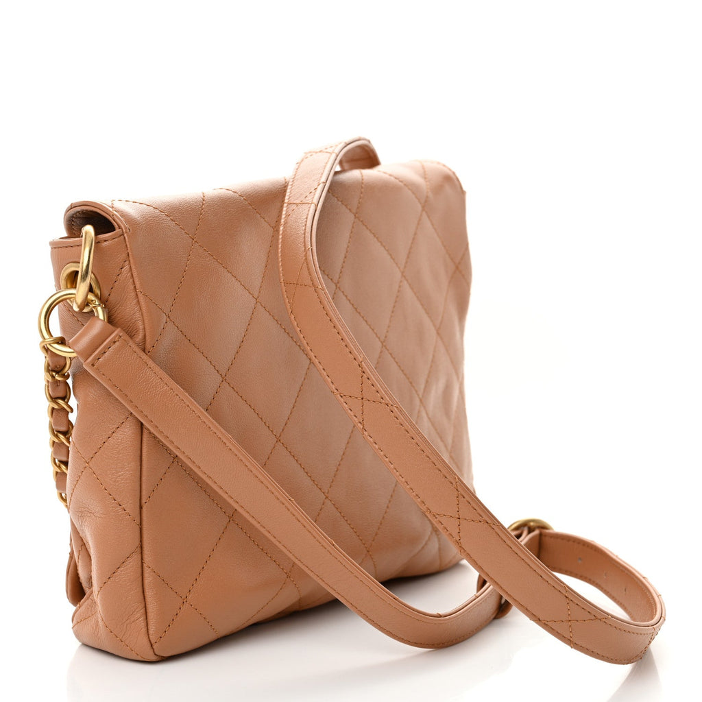 Shiny Calfskin Quilted Supple Twins Small Hobo Bag Brown