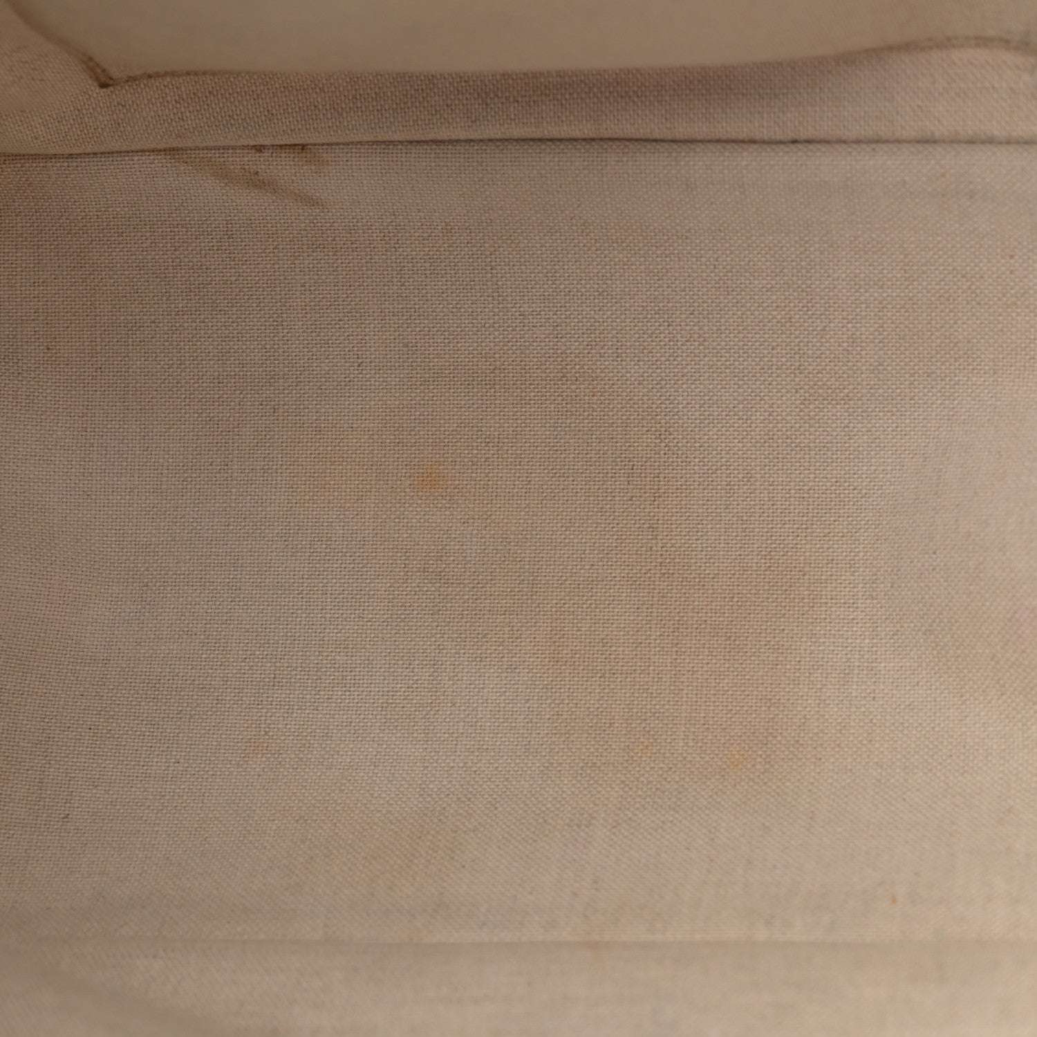 Canvas Small Iliad Shopping Tote Beige