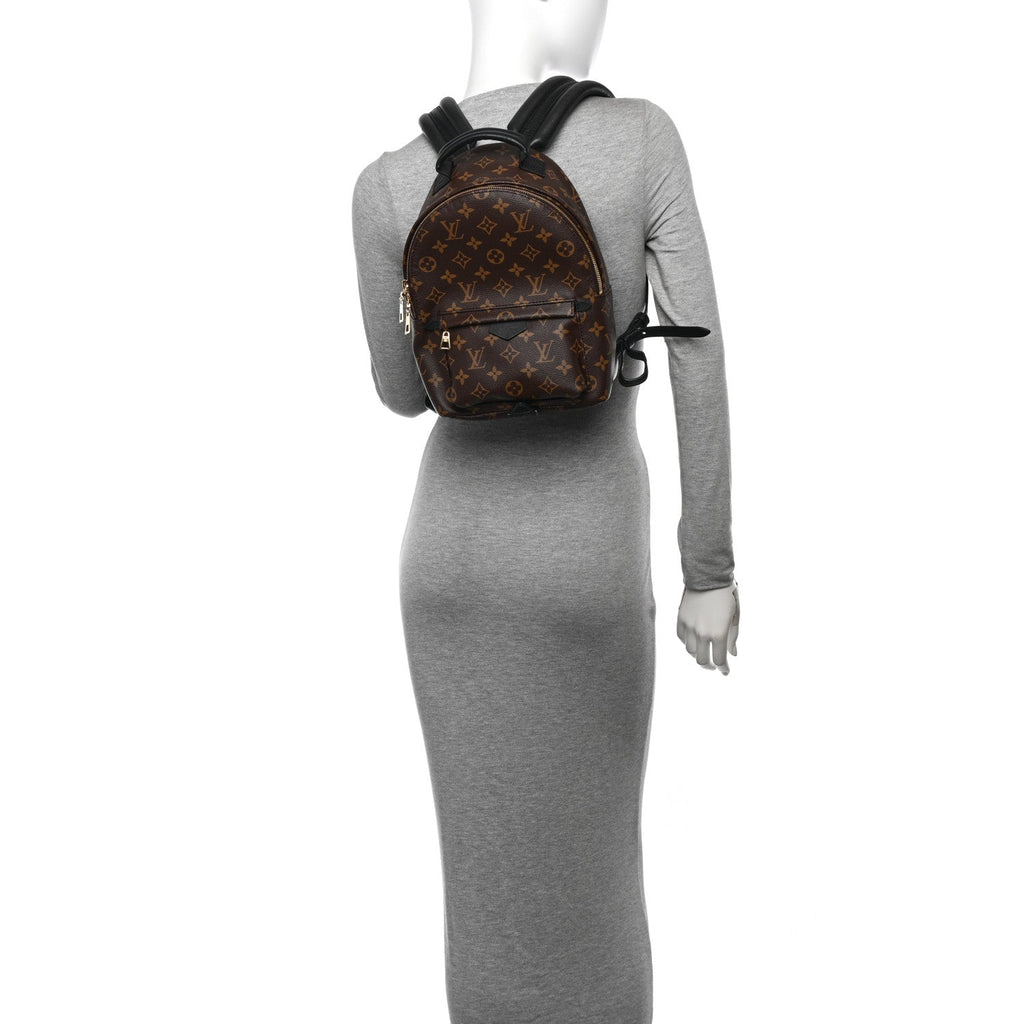 Monogram Palm Springs Backpack PM