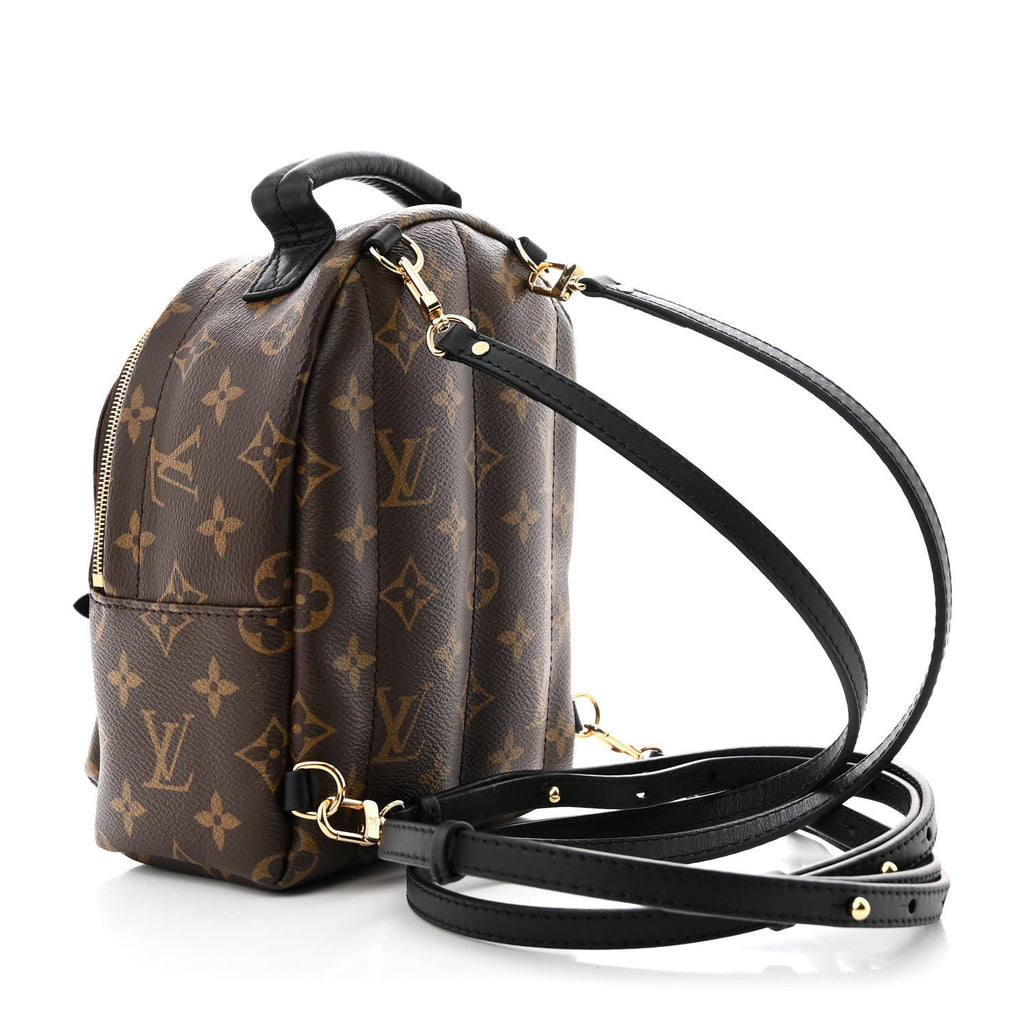 Monogram Palm Springs Backpack Mini