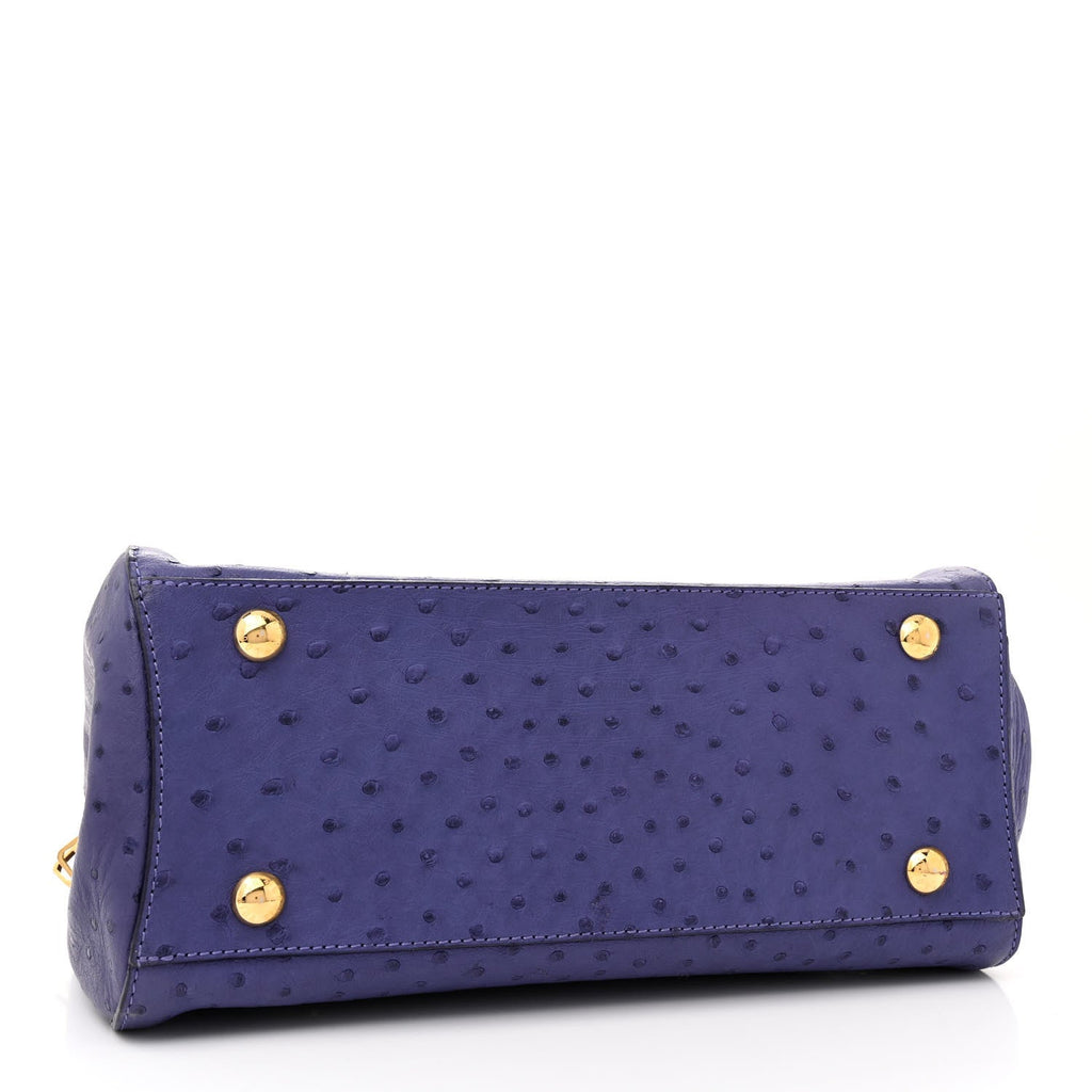 Ostrich Montaigne MM Amethyste