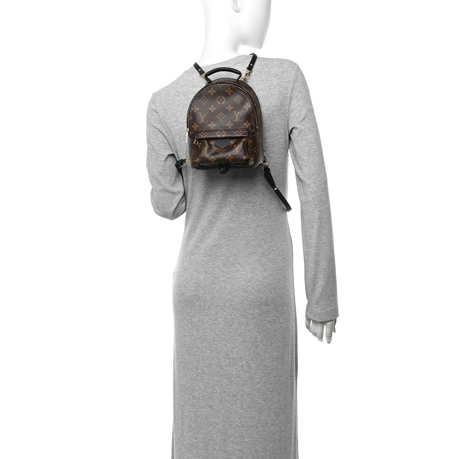 Monogram Palm Springs Backpack Mini