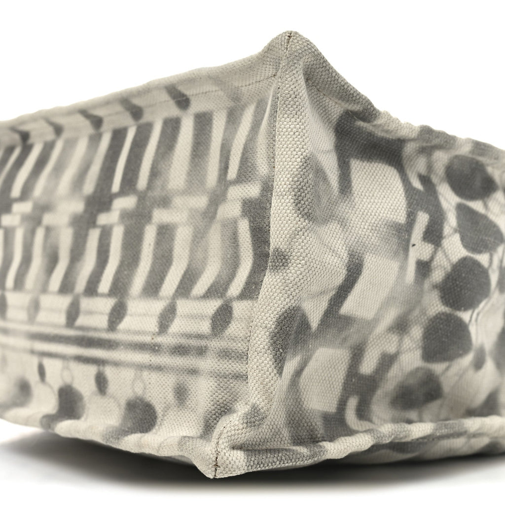 Canvas Small Iliad Shopping Tote Beige