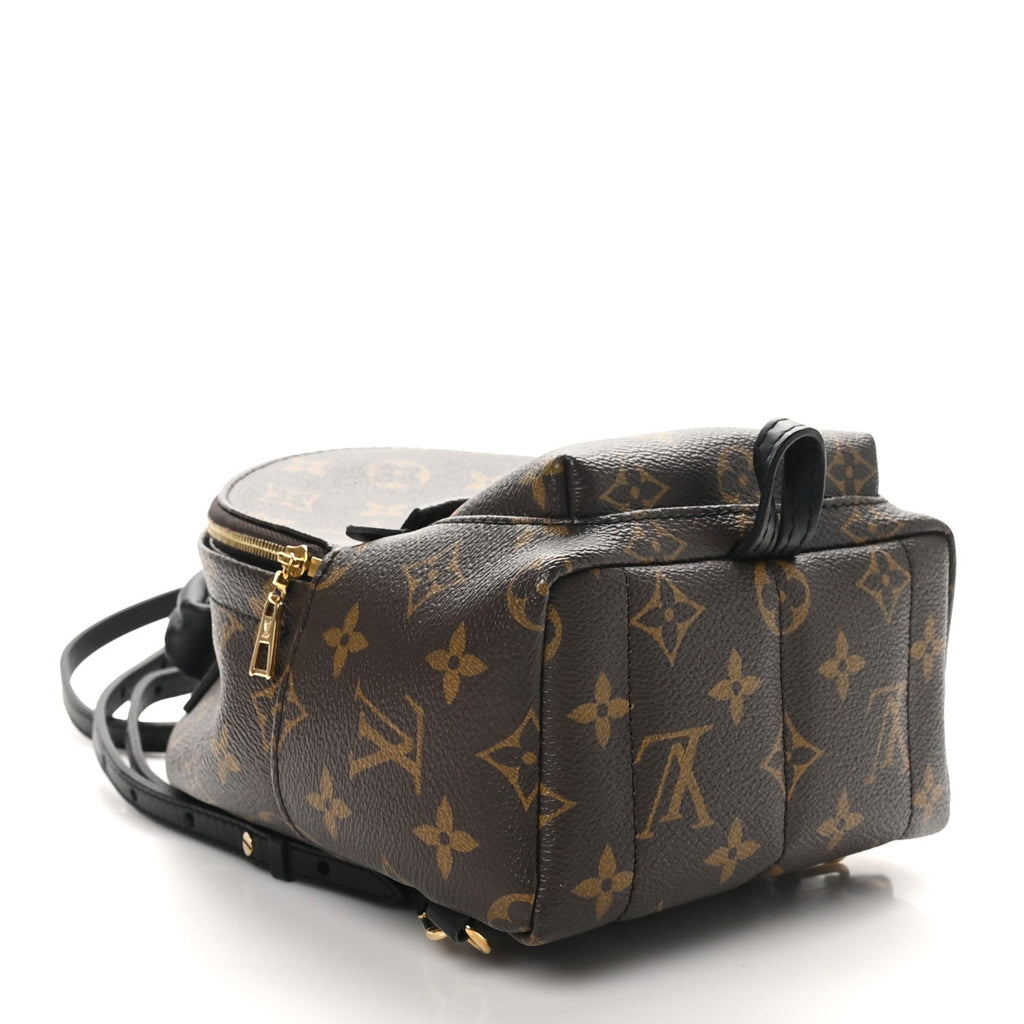 Monogram Palm Springs Backpack Mini
