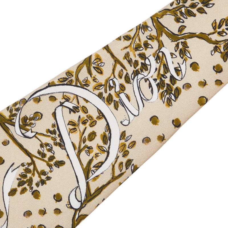 Dior Logo Silk Scarf