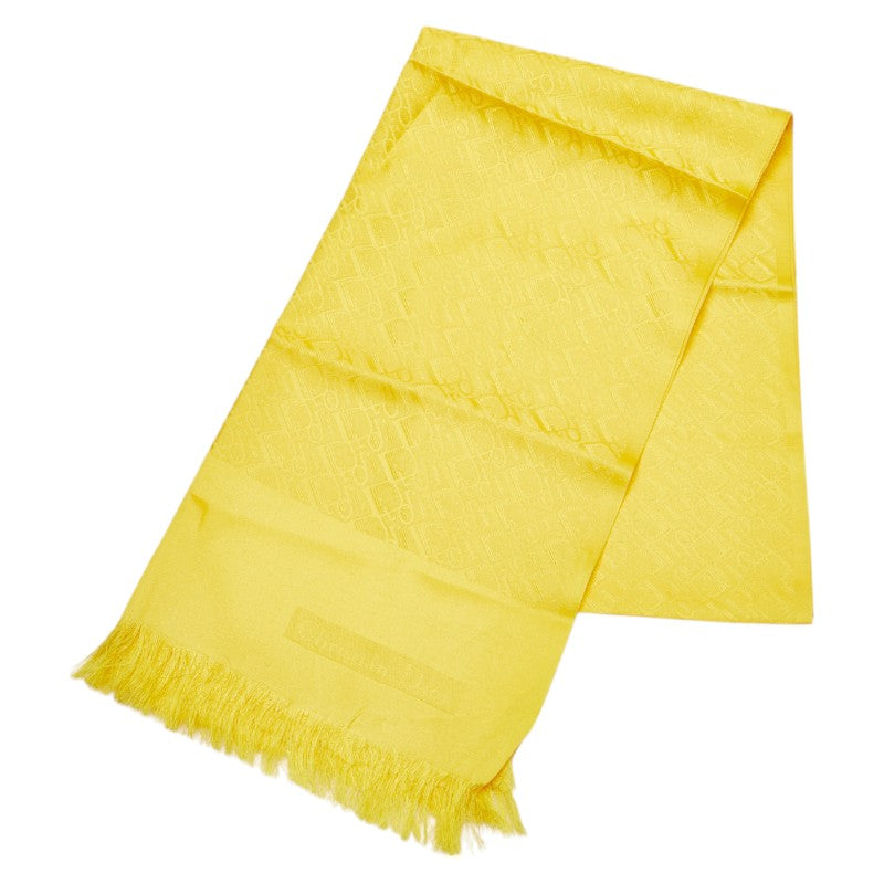 Christian Dior Trotter Silk Stole