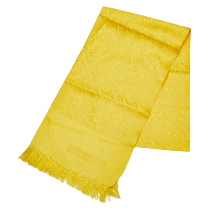 Christian Dior Trotter Silk Stole