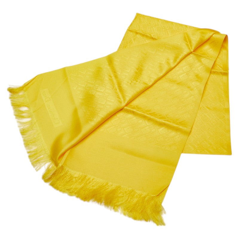 Christian Dior Trotter Silk Stole
