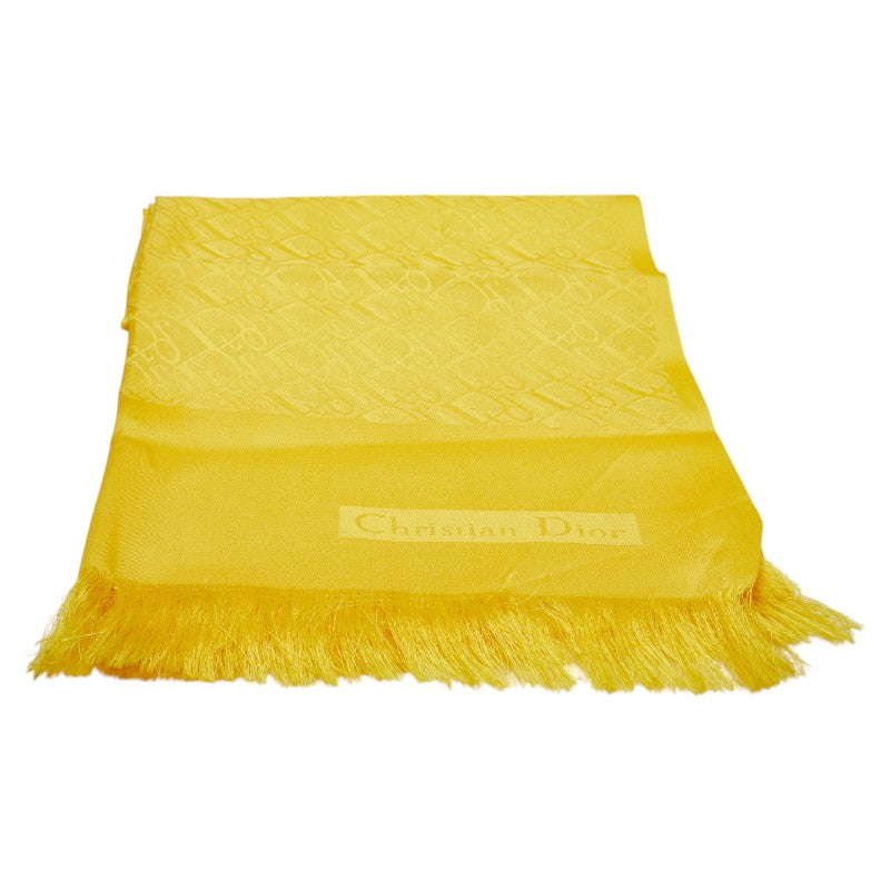 Christian Dior Trotter Silk Stole