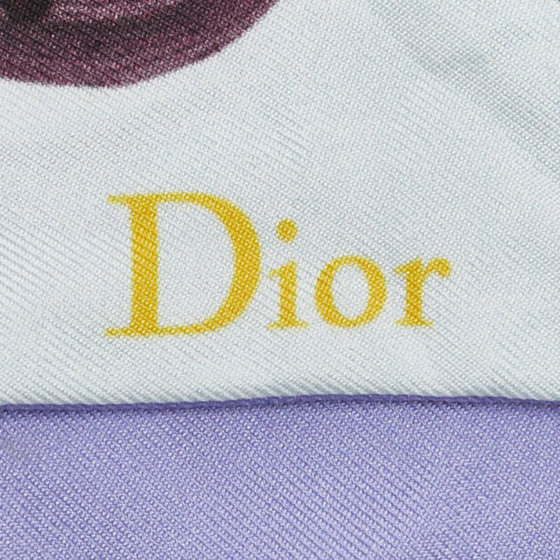 Dior Mitzah Silk Scarf