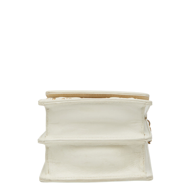 Dior Diorama Leather Shoulder Bag
