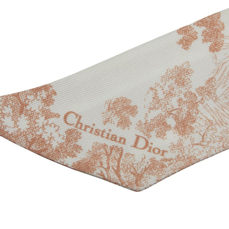 Dior Mitzah Logo Silk Scarf