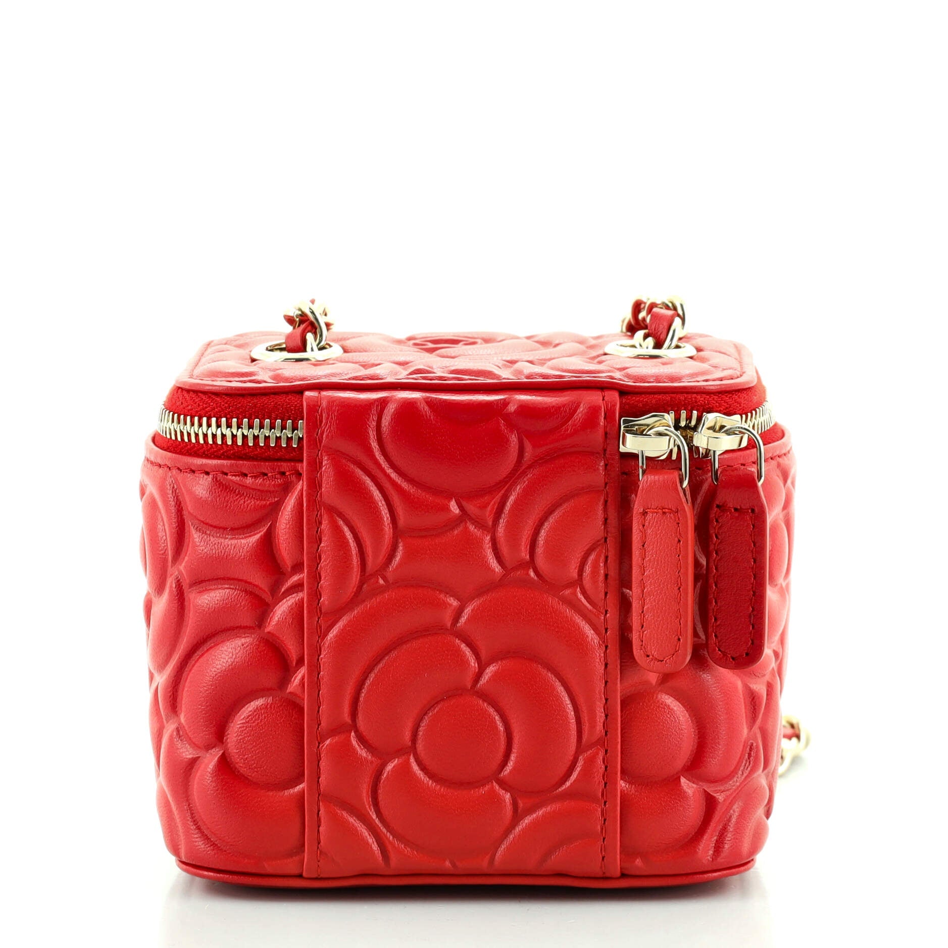 Classic Vanity Case with Chain Camellia Lambskin Mini
