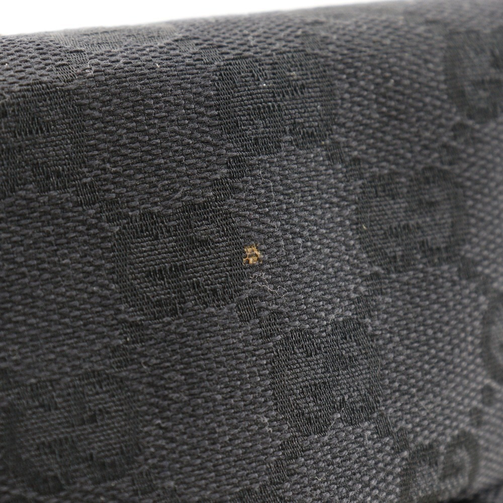 Gucci GG canvas