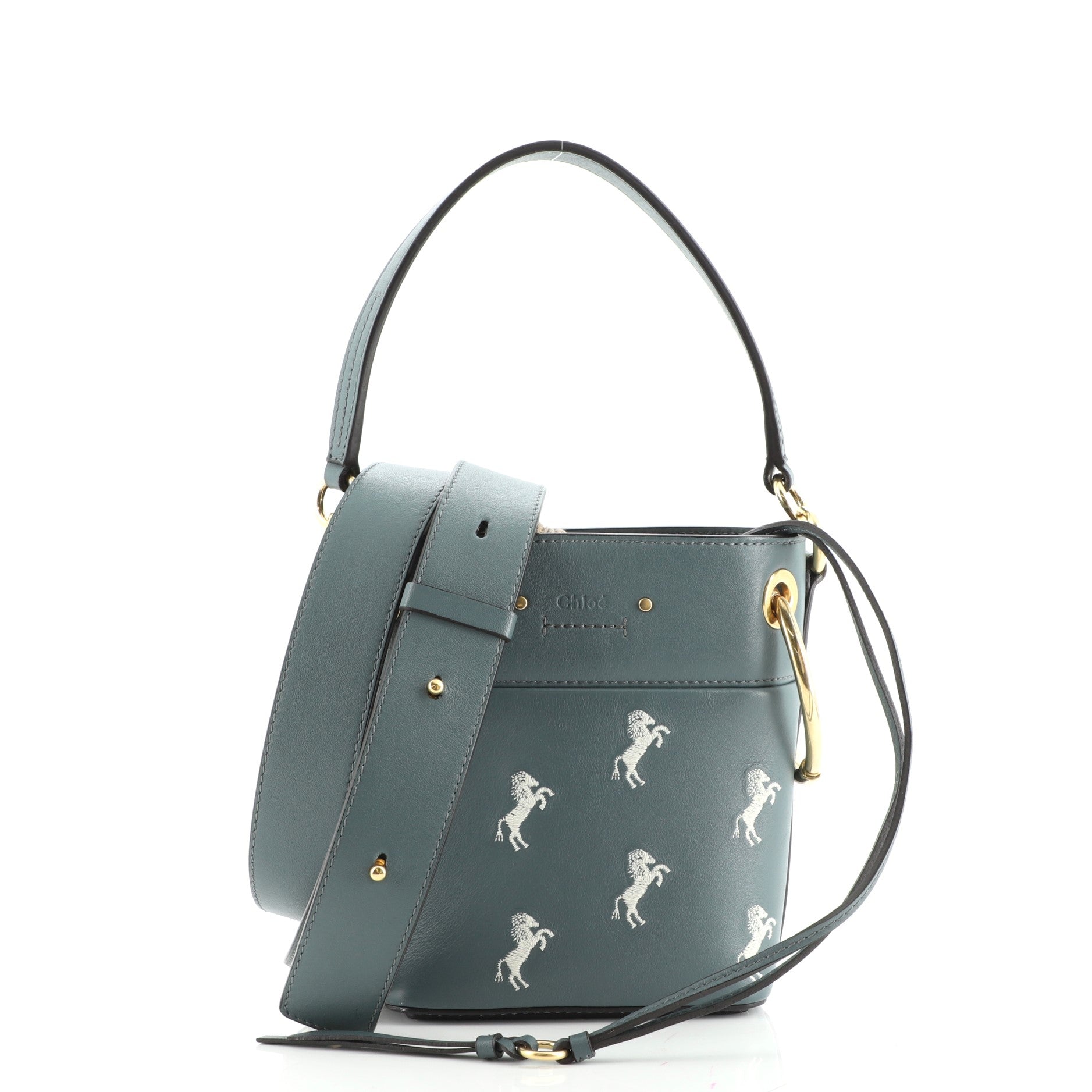 Roy Bucket Bag Embroidered Leather Mini