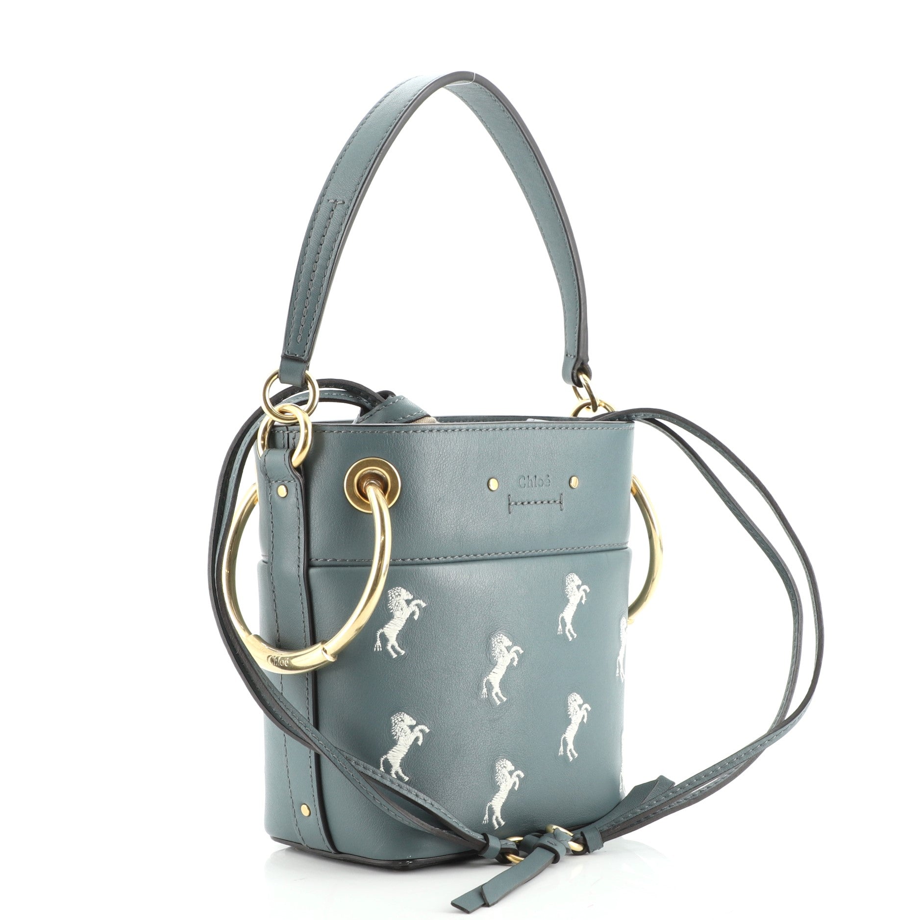 Roy Bucket Bag Embroidered Leather Mini