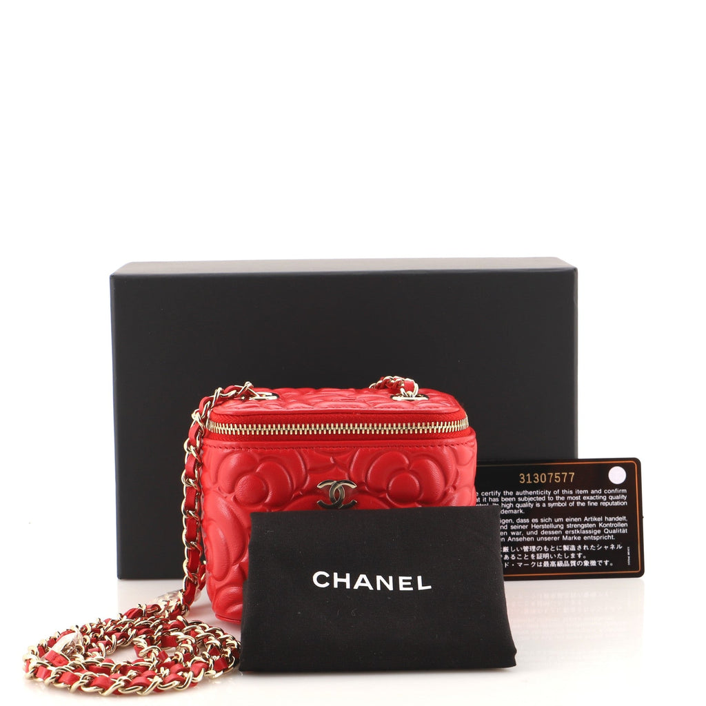 Classic Vanity Case with Chain Camellia Lambskin Mini