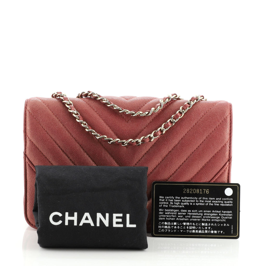 Statement Flap Bag Chevron Iridescent Caviar Mini