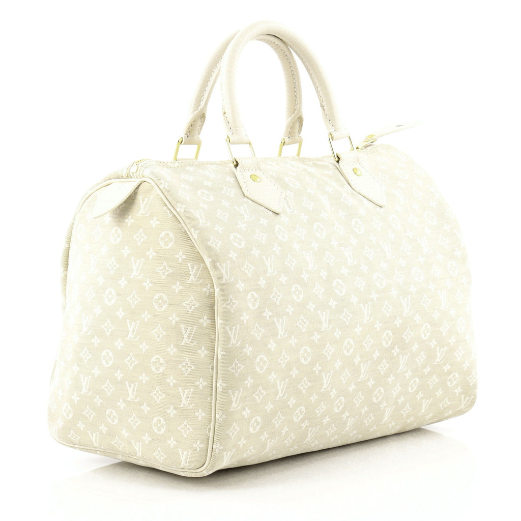 Speedy Handbag Mini Lin 30