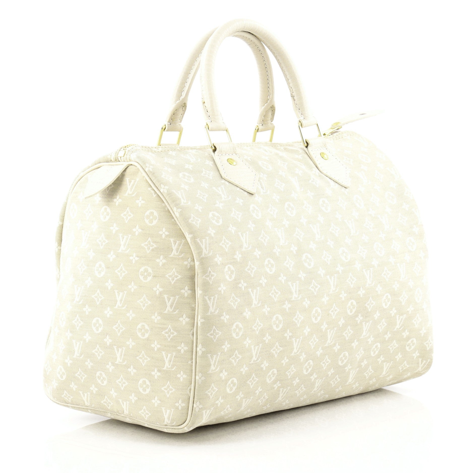 Speedy Handbag Mini Lin 30