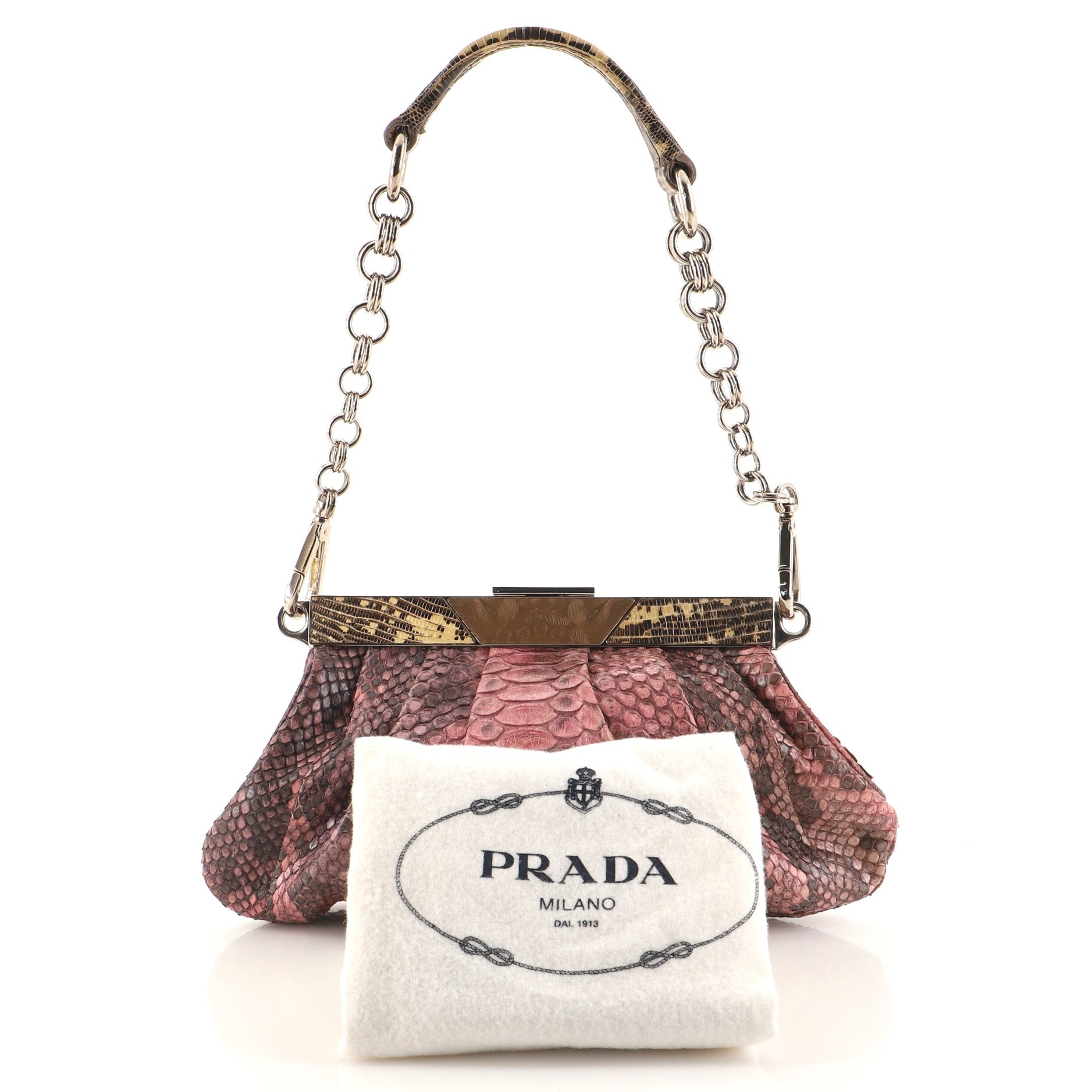 Frame Chain Clutch Python with Lizard Medium