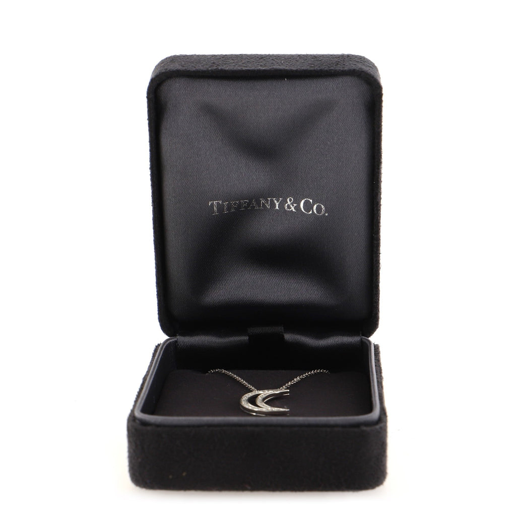 Moon Pendant Necklace Platinum with Diamonds