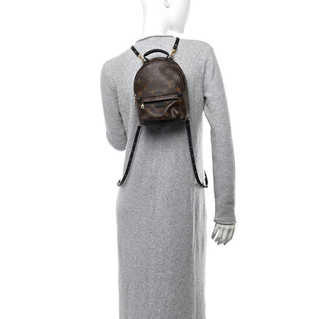 Monogram Palm Springs Backpack Mini