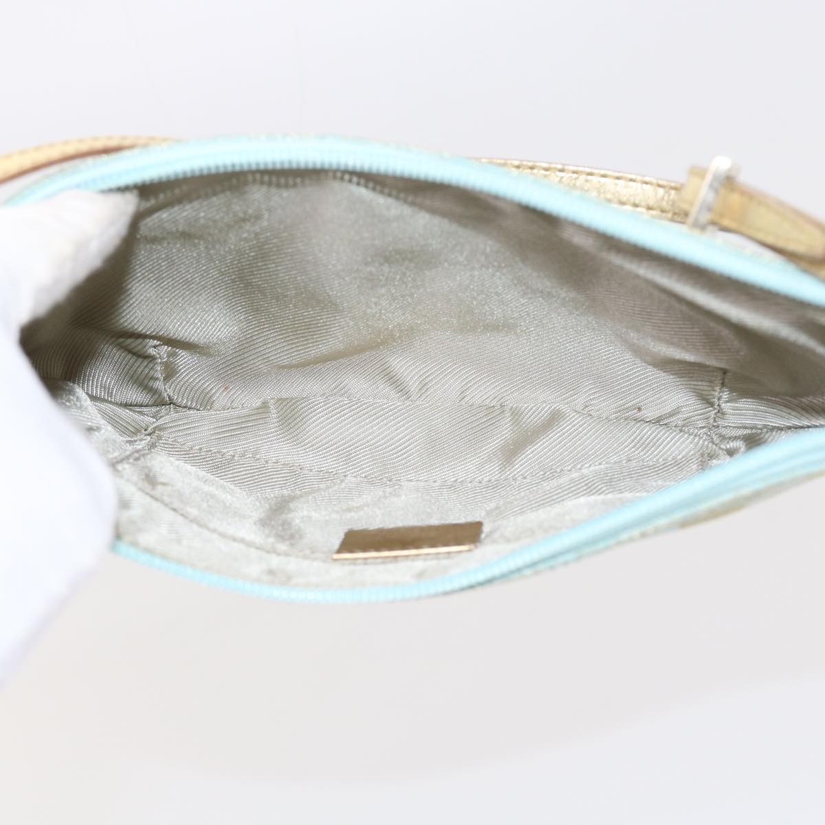 Gucci GG canvas