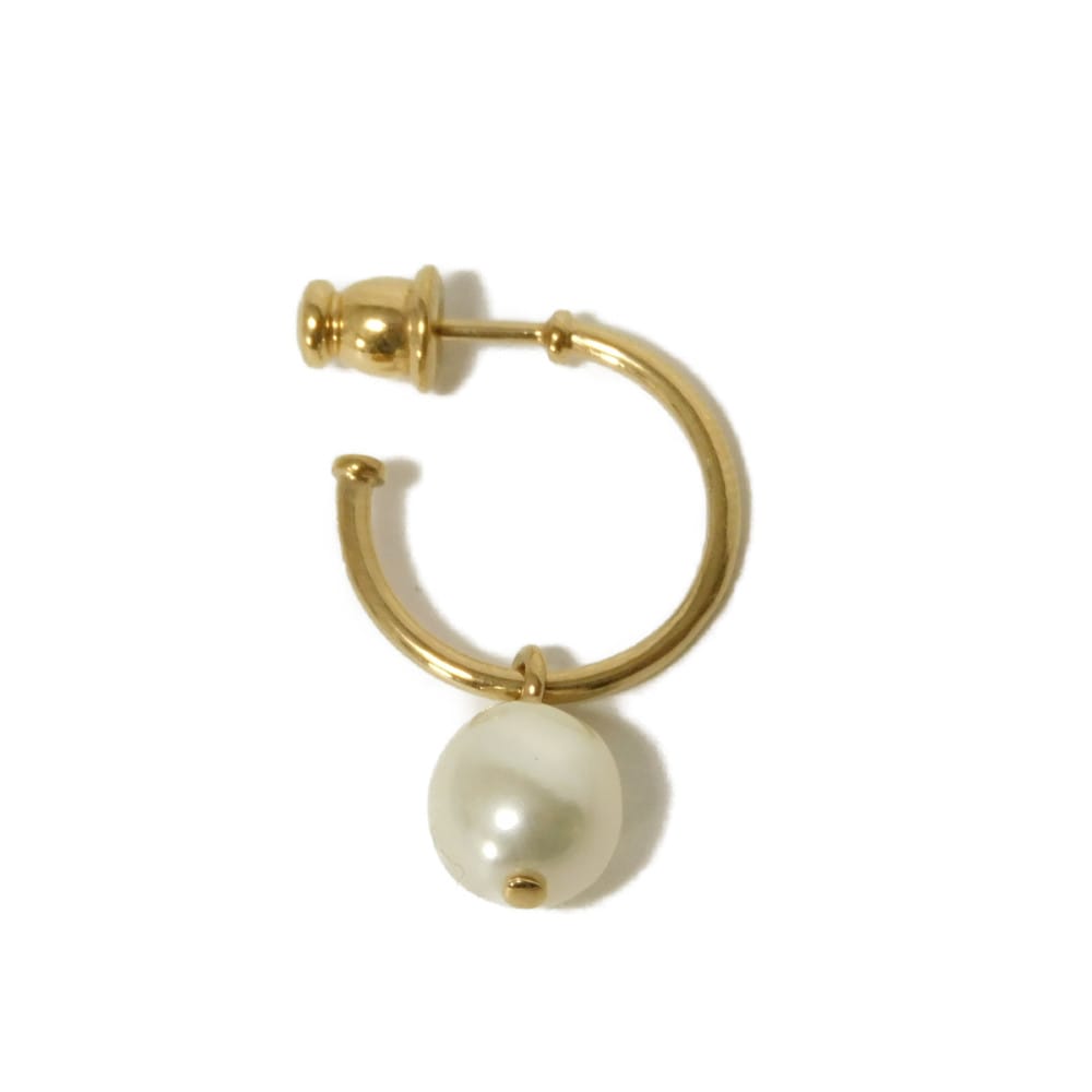 Dior Petit CD Earrings