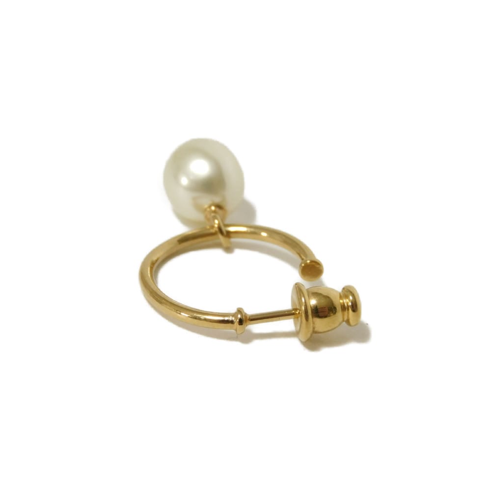Dior Petit CD Earrings