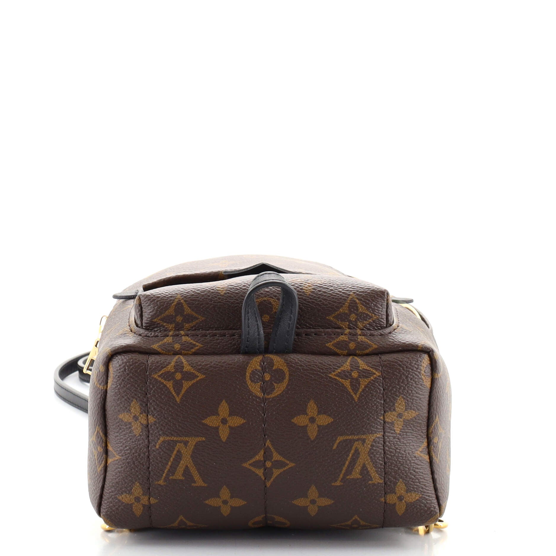 Palm Springs Backpack Monogram Canvas Mini