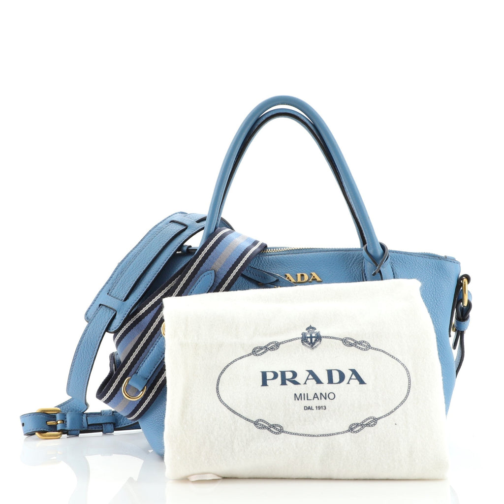 Dual Strap Zip Tote Vitello Daino Mini