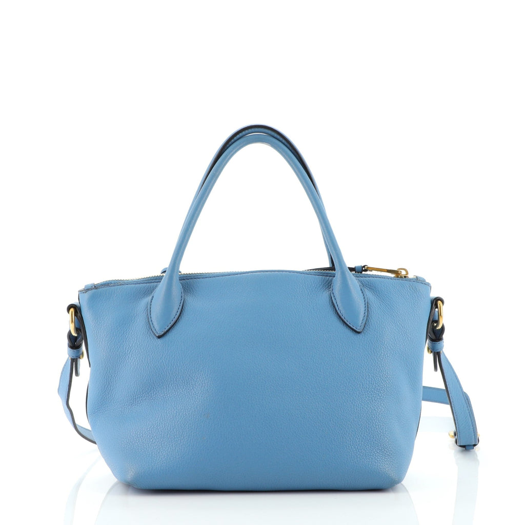 Dual Strap Zip Tote Vitello Daino Mini