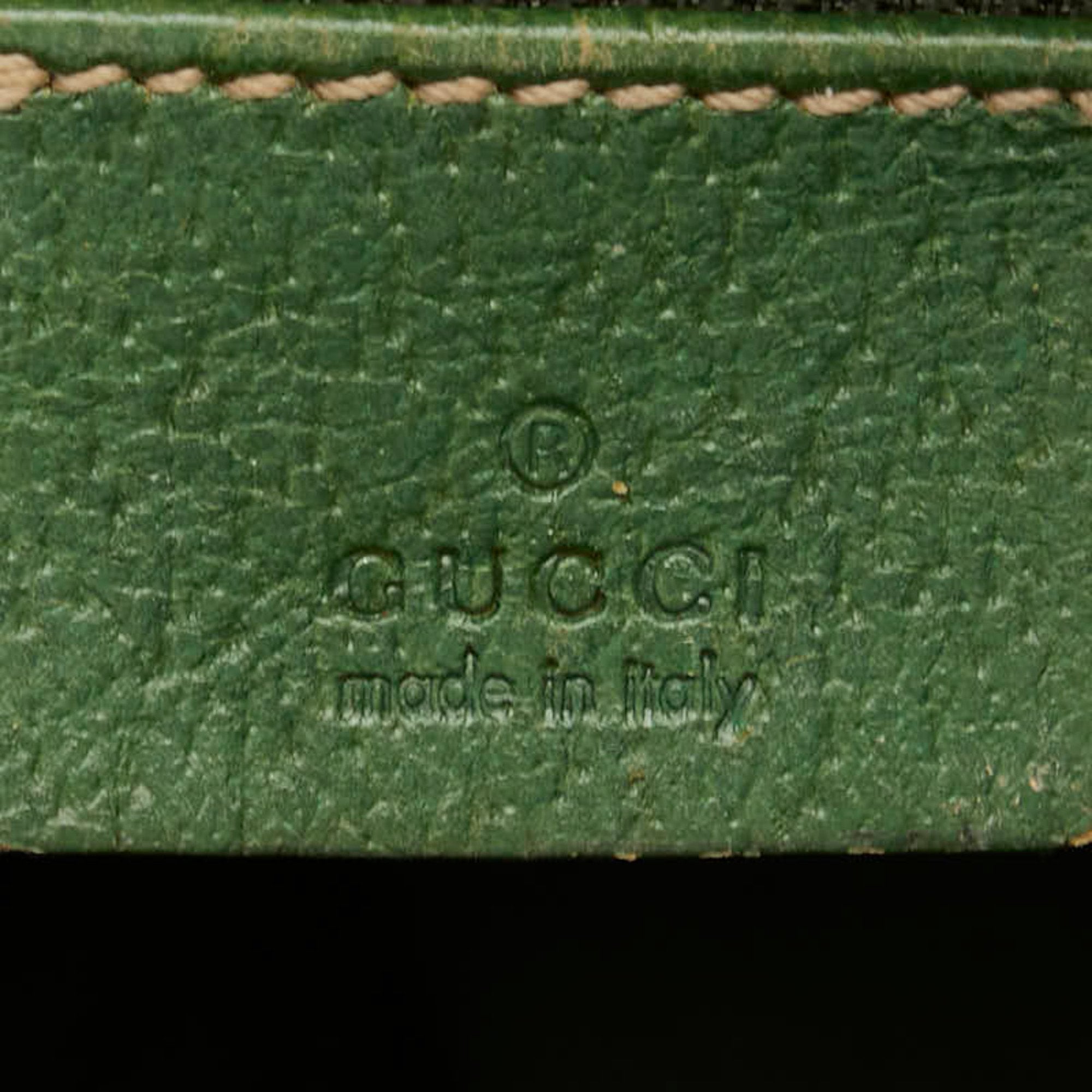 Gucci GG canvas