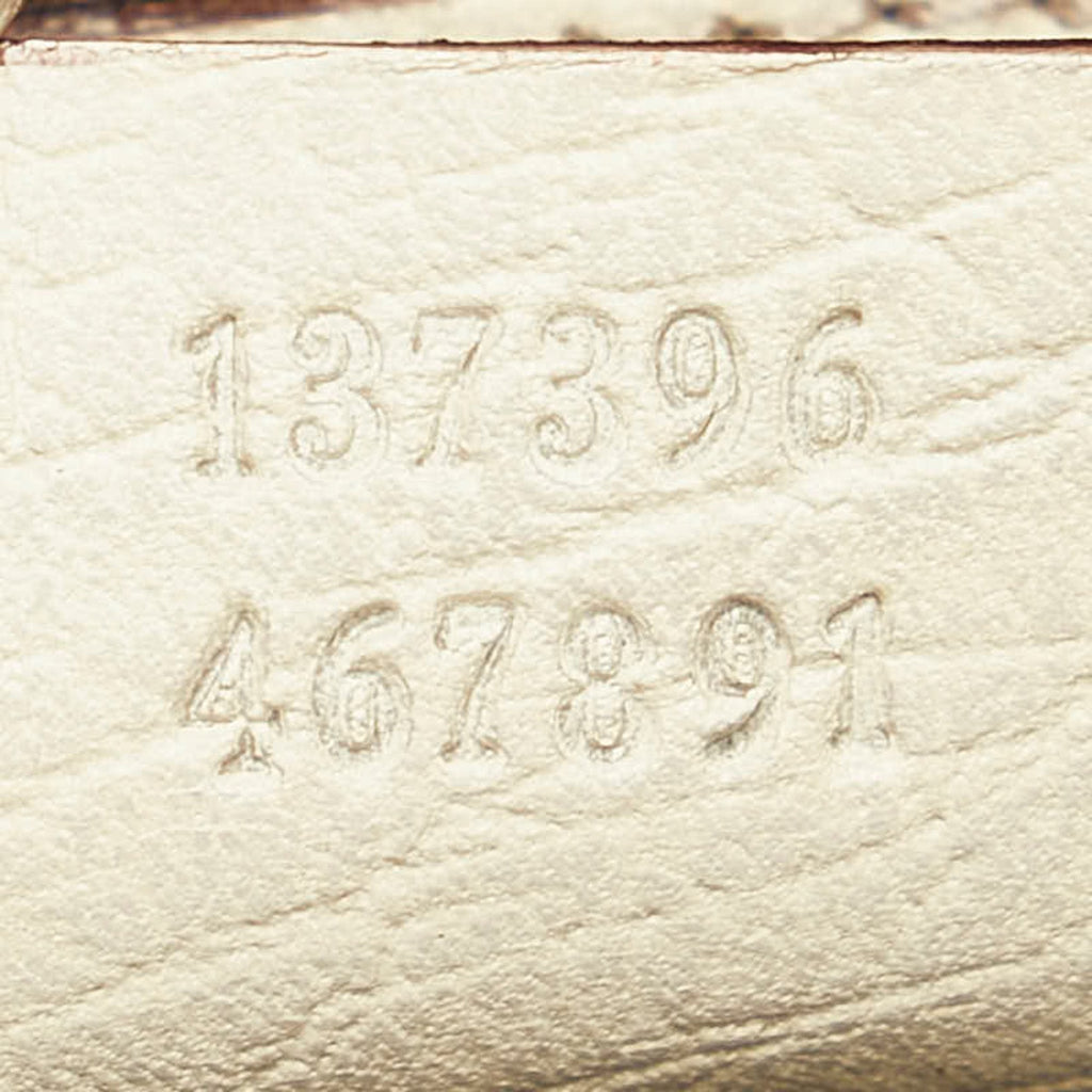 Gucci GG canvas