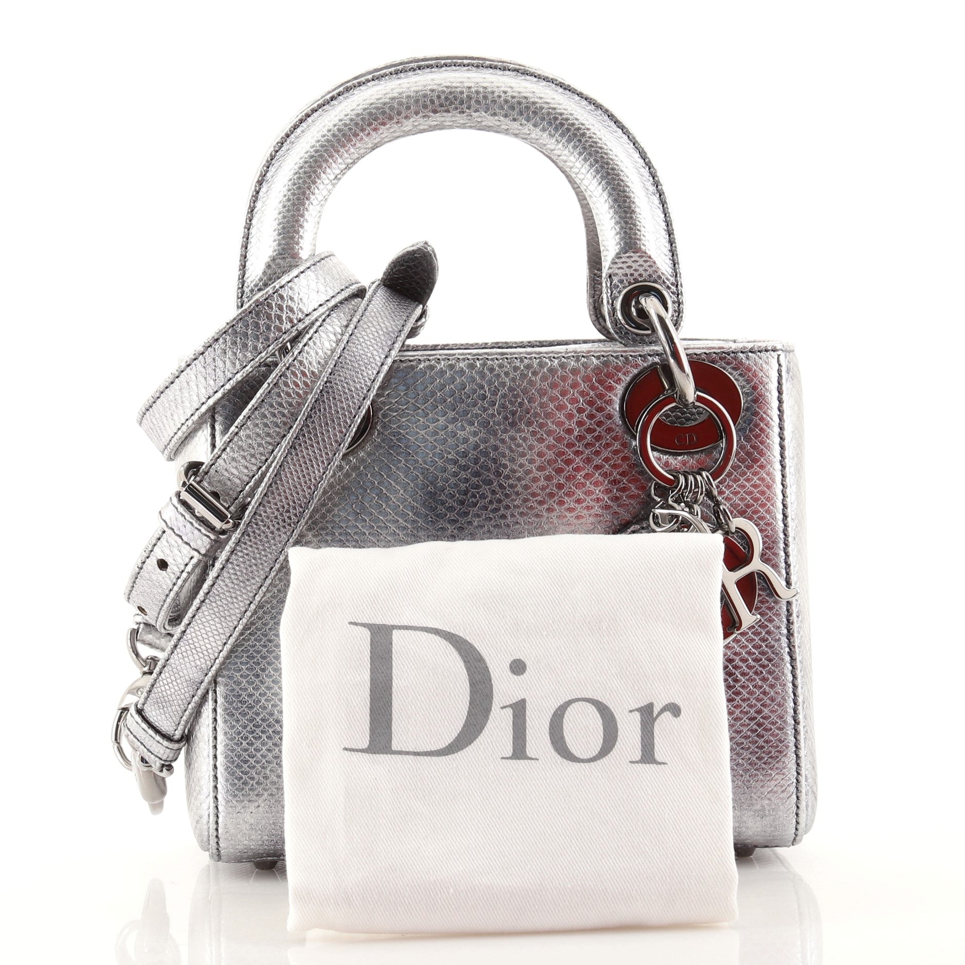 Lady Dior Bag Vieil Argent Karung Mini