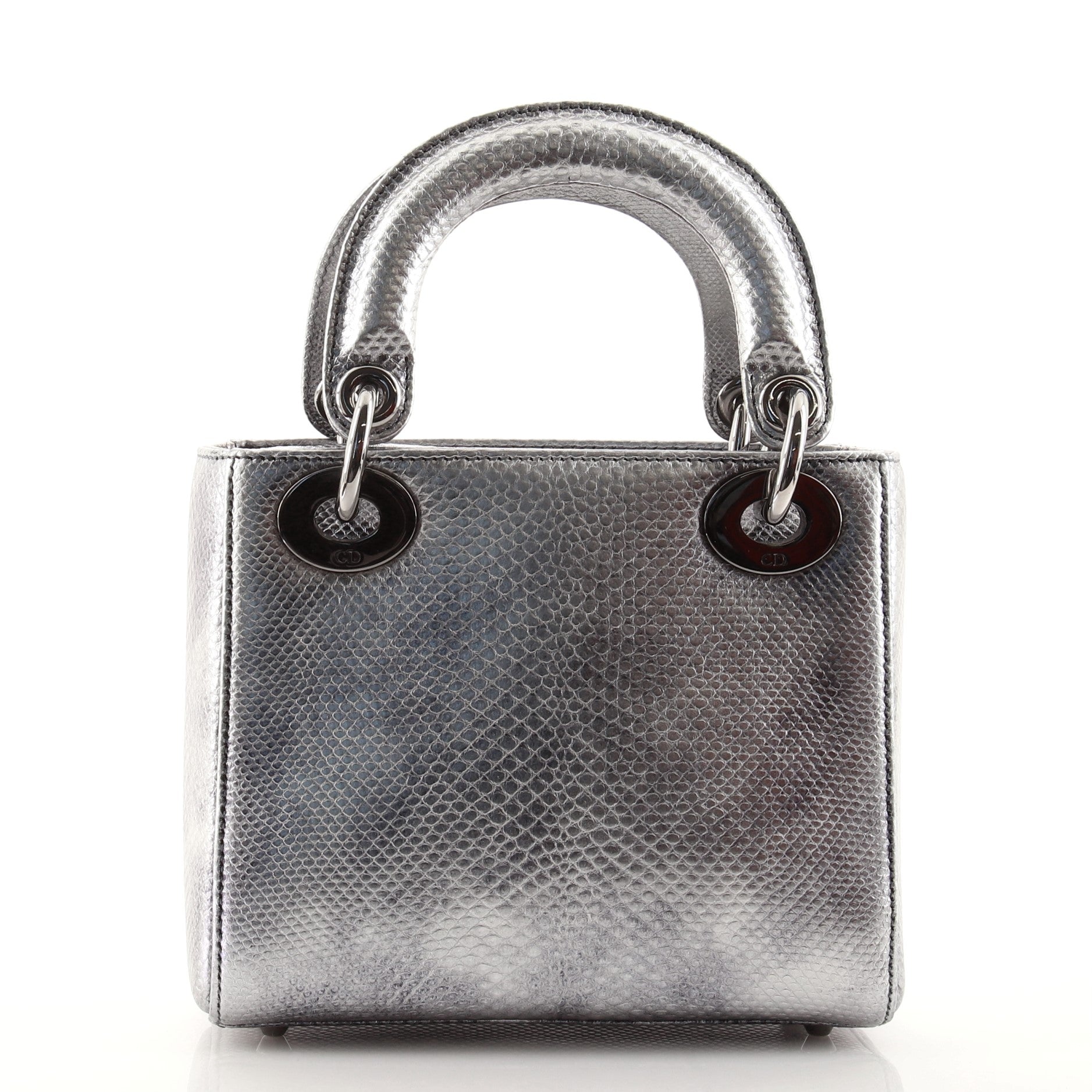 Lady Dior Bag Vieil Argent Karung Mini