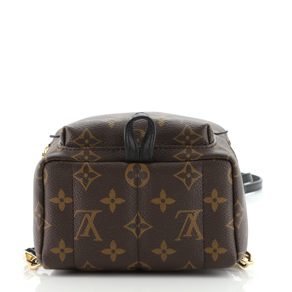 Palm Springs Backpack Monogram Canvas Mini