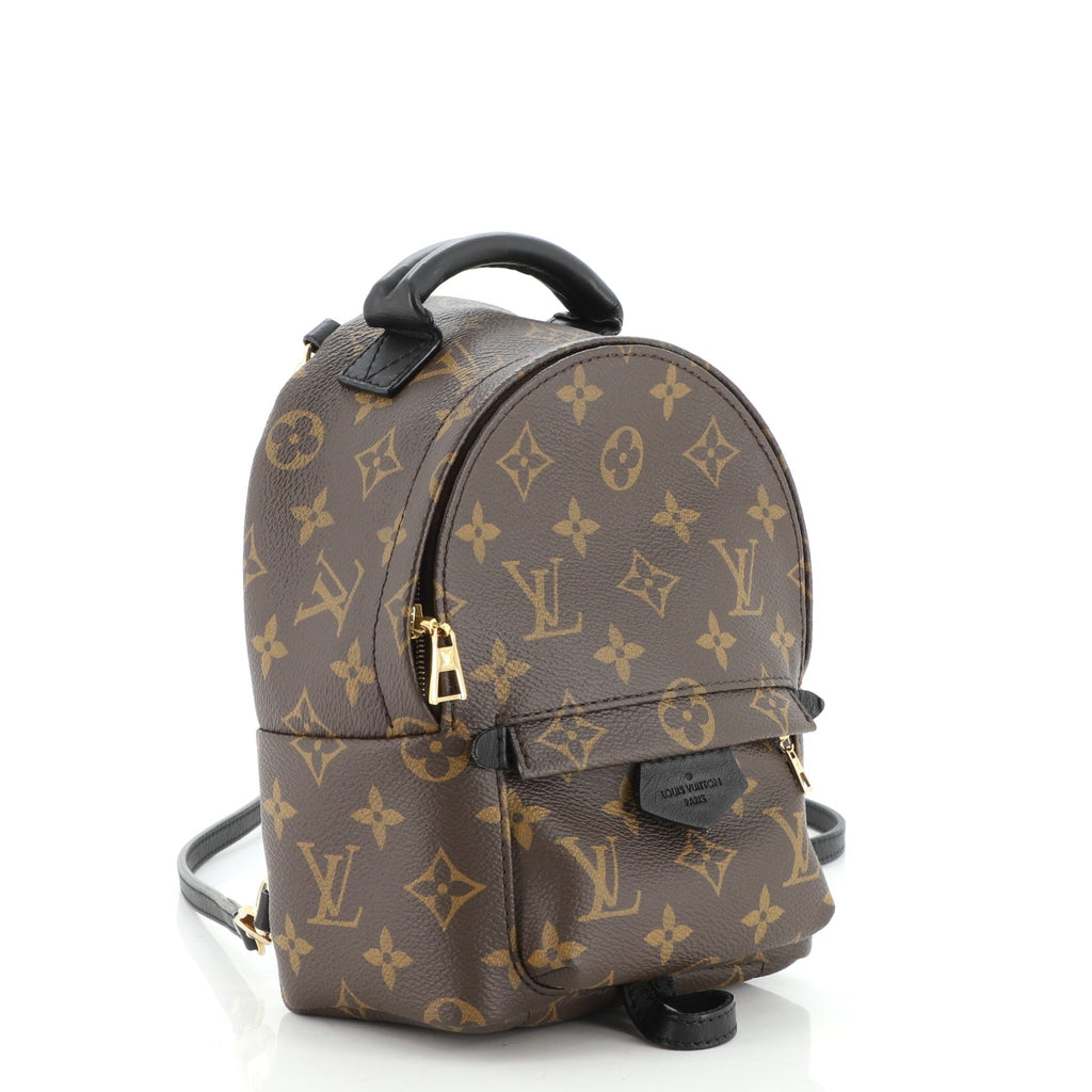 Palm Springs Backpack Monogram Canvas Mini