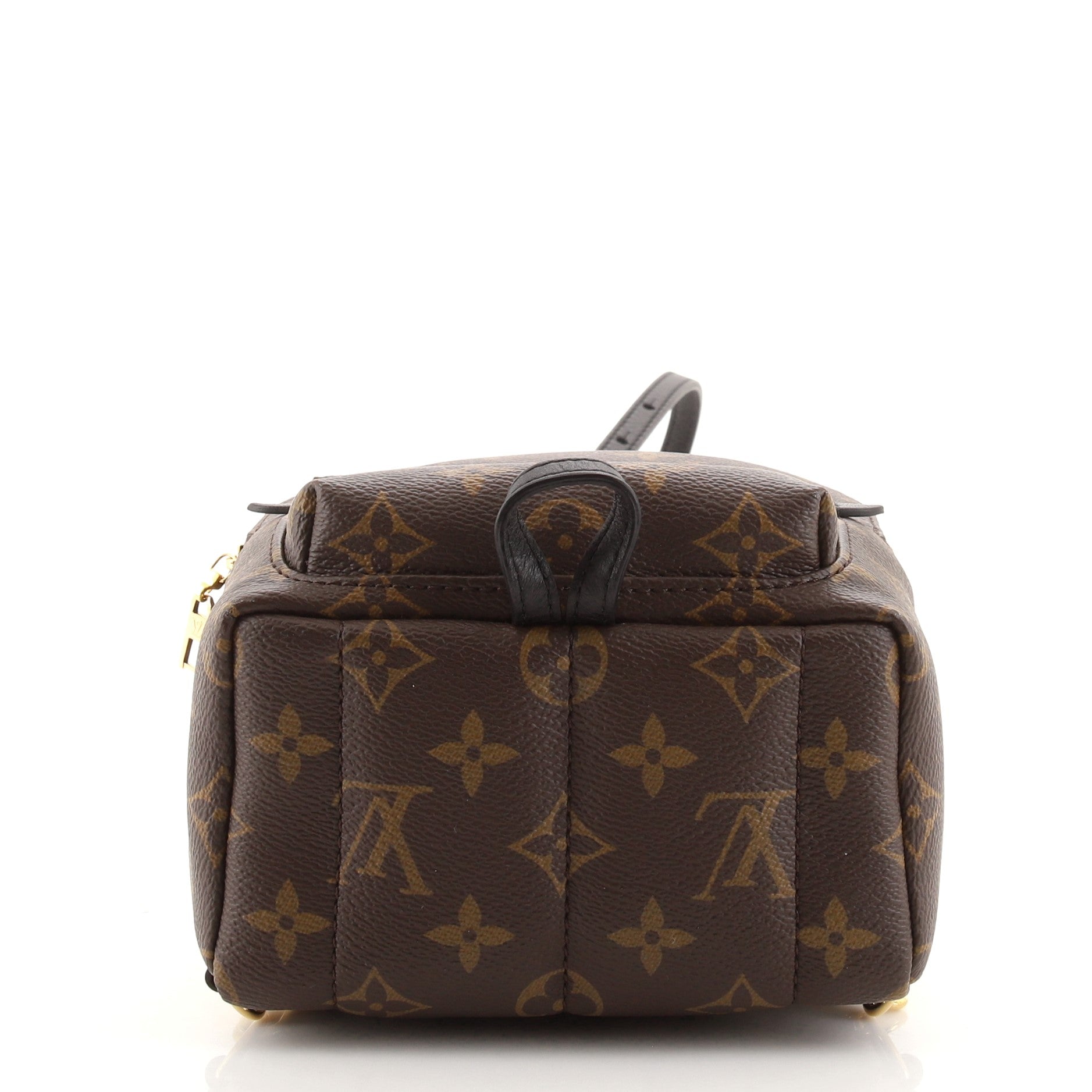 Palm Springs Backpack Monogram Canvas Mini