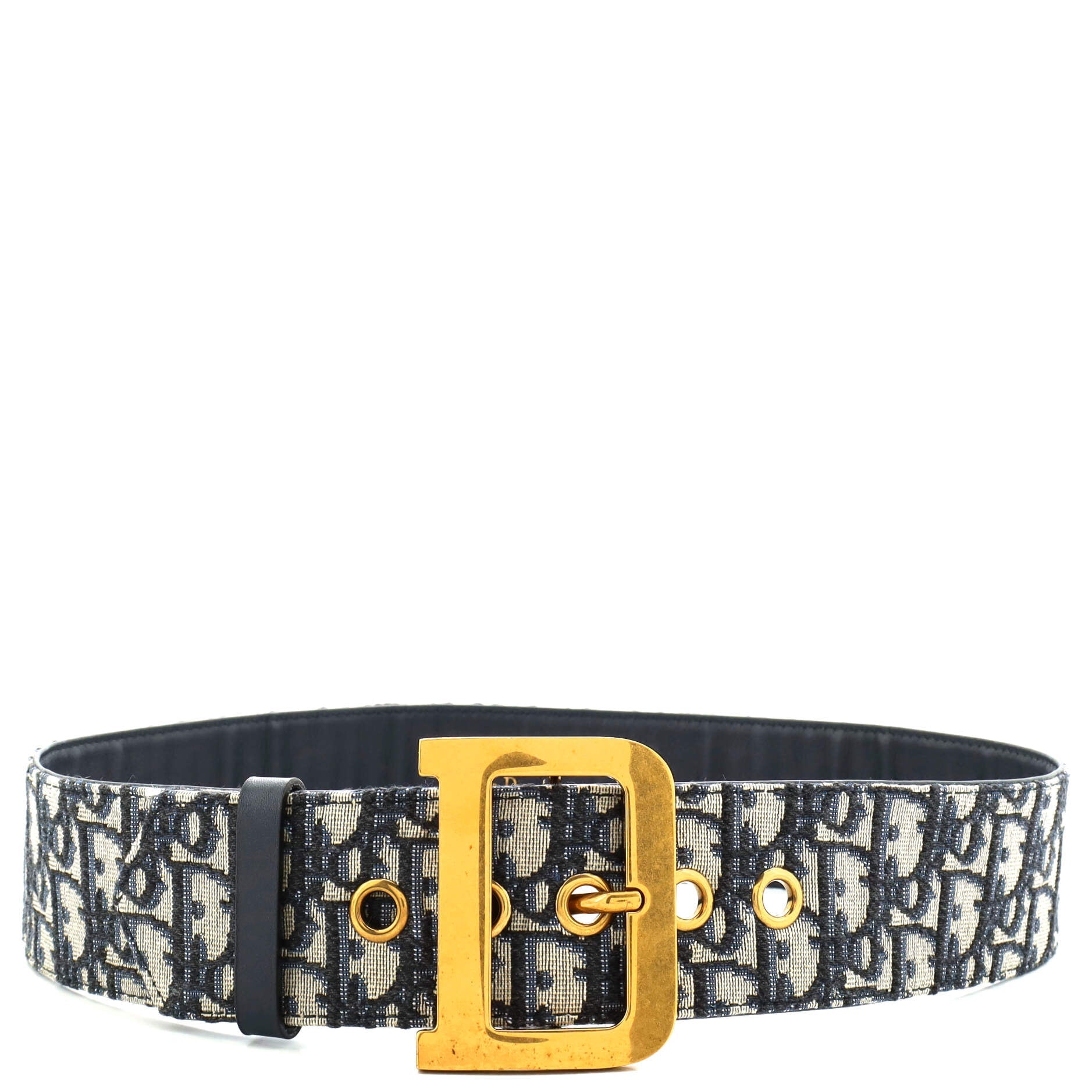 Diorquake Belt Oblique Canvas Wide 80