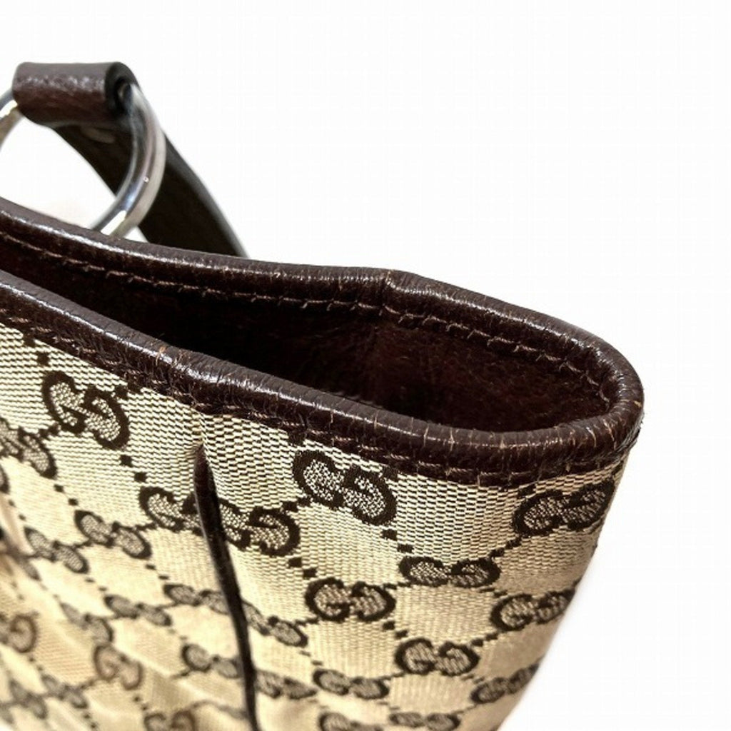 Gucci GG canvas