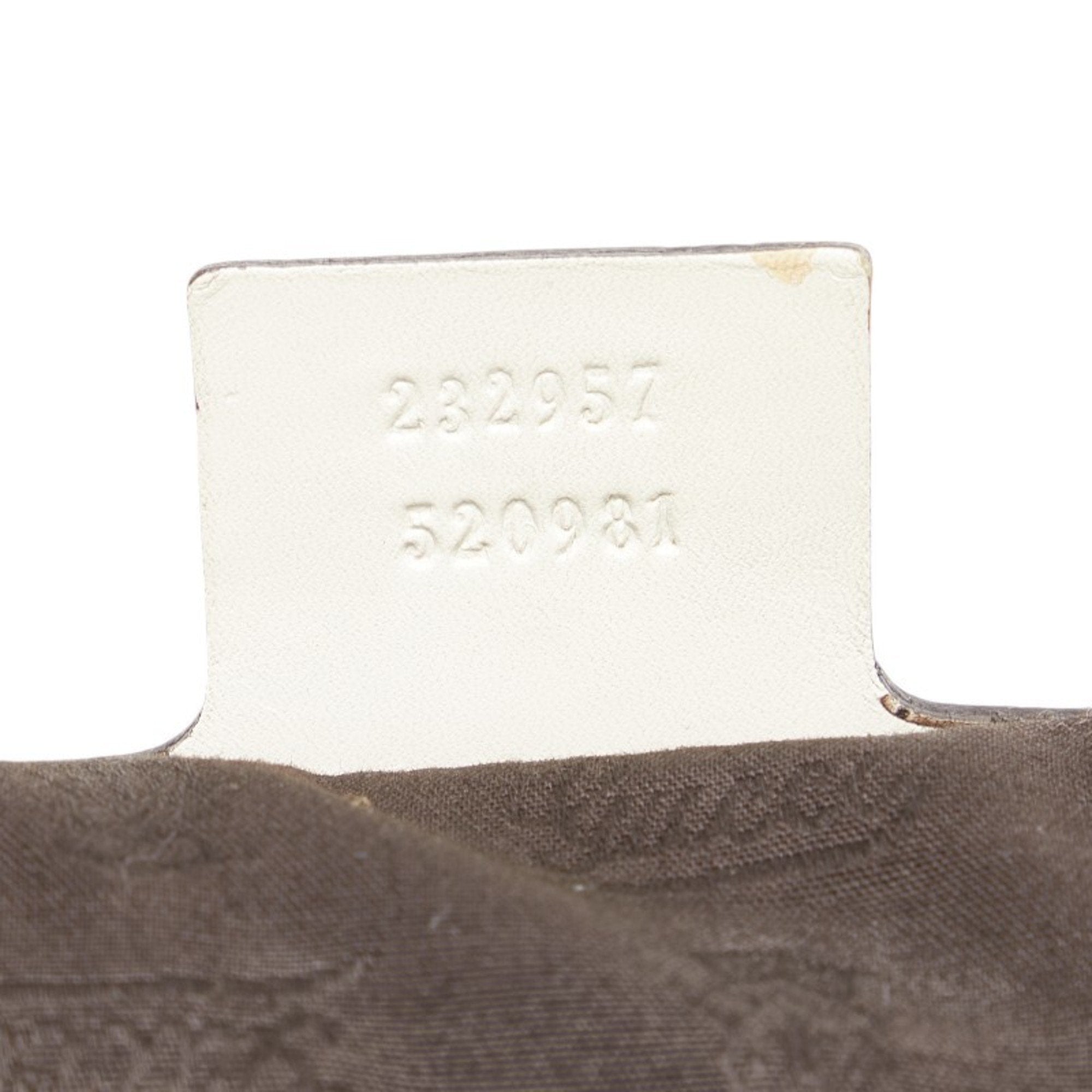 Gucci GG canvas