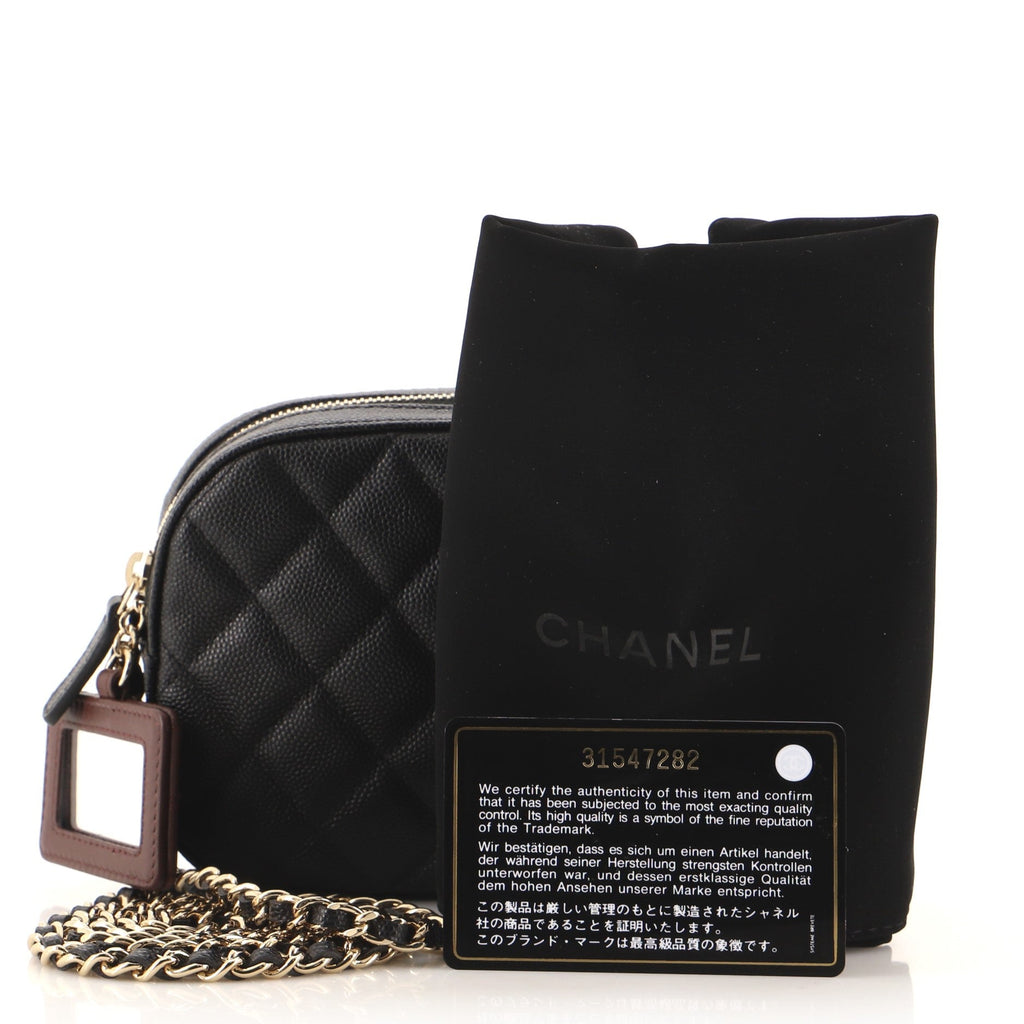 Zip Around Chain Camera Case Quilted Caviar Mini