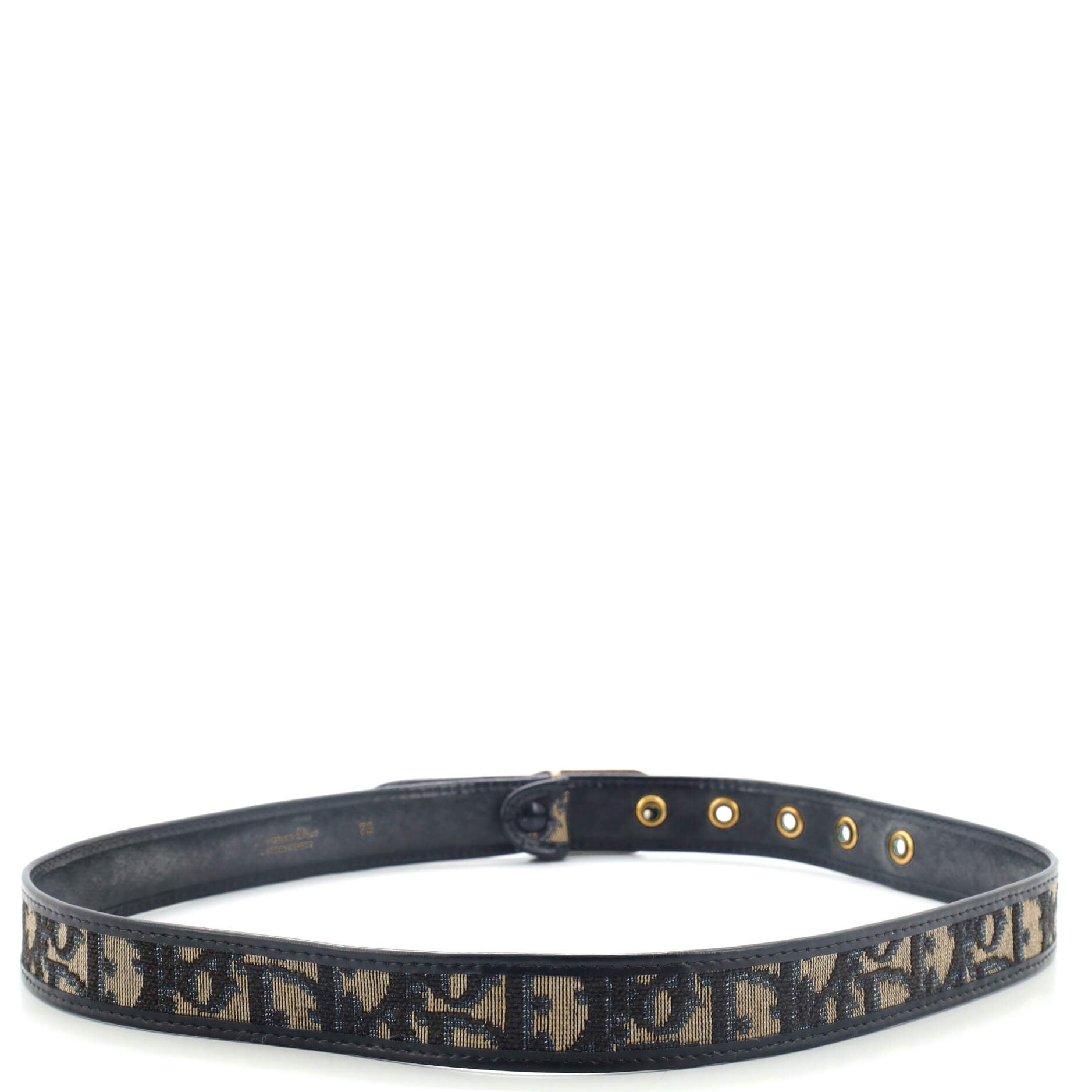 Vintage Logo Belt Oblique Canvas and Leather 75