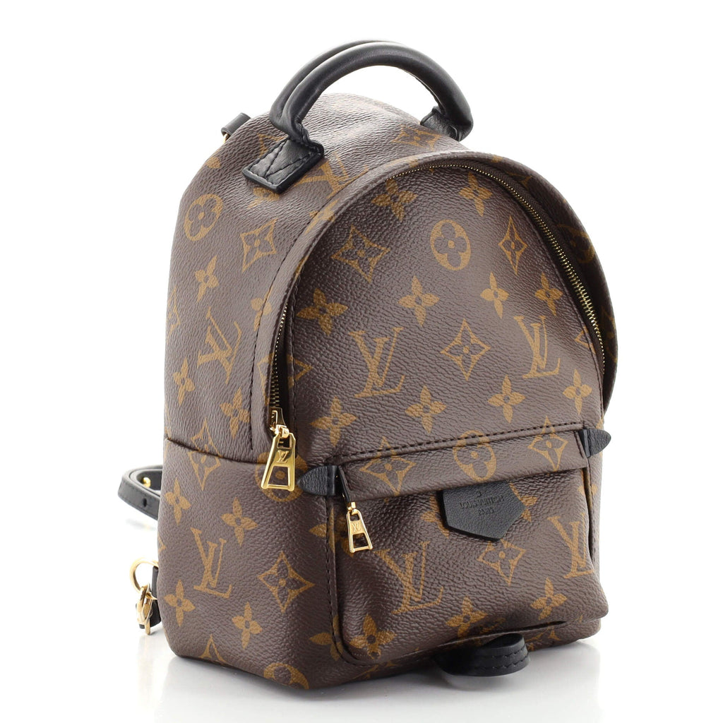 Palm Springs Backpack Monogram Canvas Mini